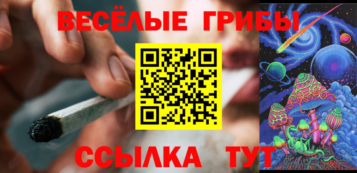 Галлюциногенные грибы Psilocybine cubensis  Вход с VPN  Ленинск-Кузнецкий 